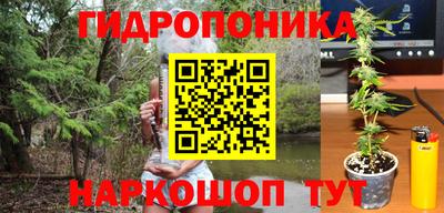 винт Свободный
