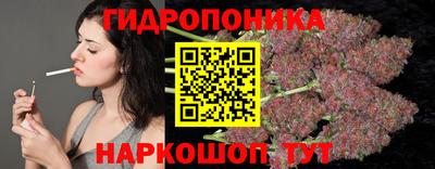 mdpv Рыбинск